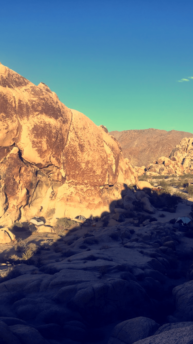 Aviary Photo_131712908021171327