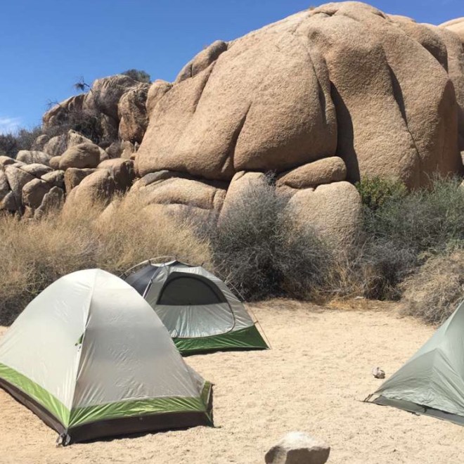 Jumbo Rocks Campground