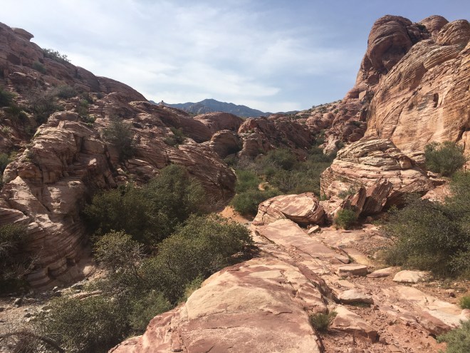 Red Rock Canyon
